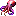 Colossal Squid