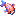 Inori Fish