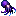 Midnight Squid