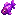 Purple Fish