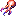 Squid